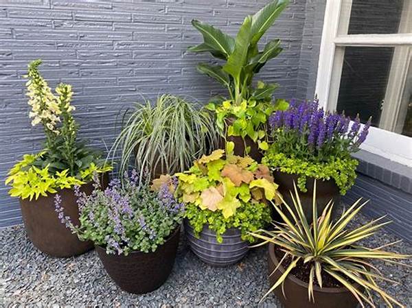 Pet-safe Plant Arrangement Ideas