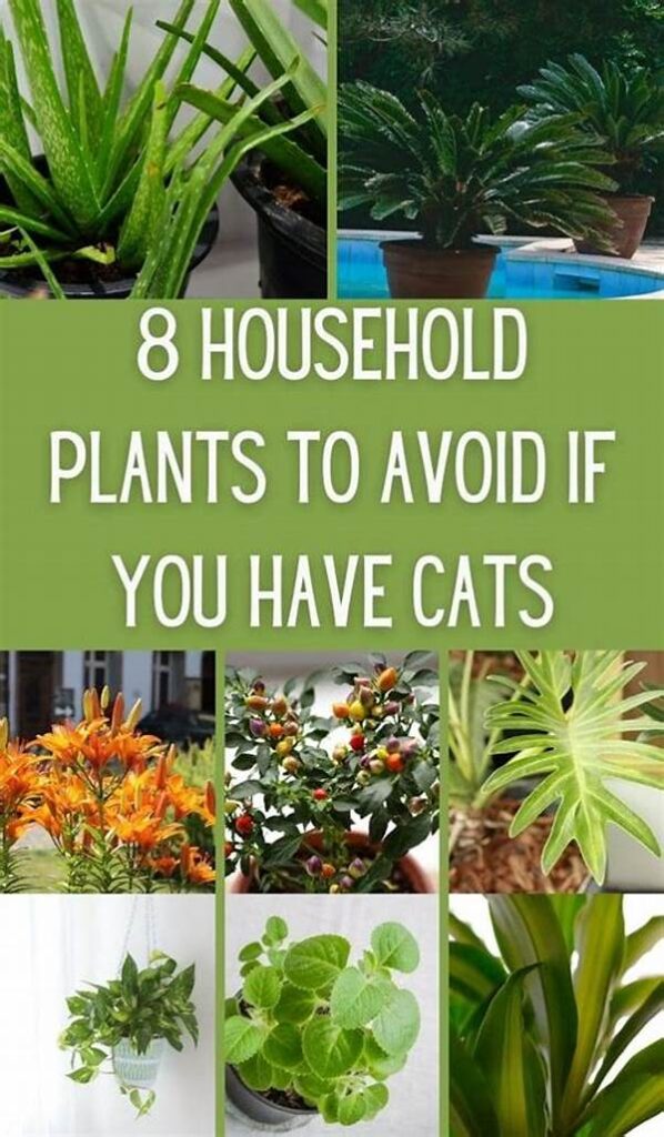 Plants Harmless To Household Cats