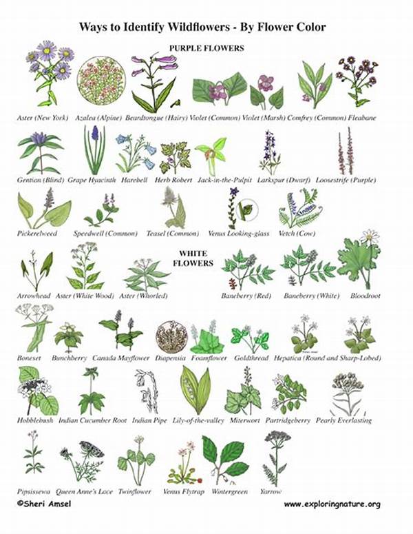 Recognizing Common Wildflower Species