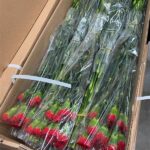 Reduce Waste In Flower Shipments