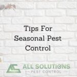 “seasonal Pest Control Measures”