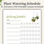 Seasonal Plant Care And Watering