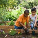 Teaching Kids About Gardening