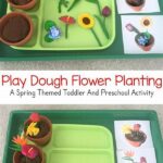 Teaching Toddlers About Flowers