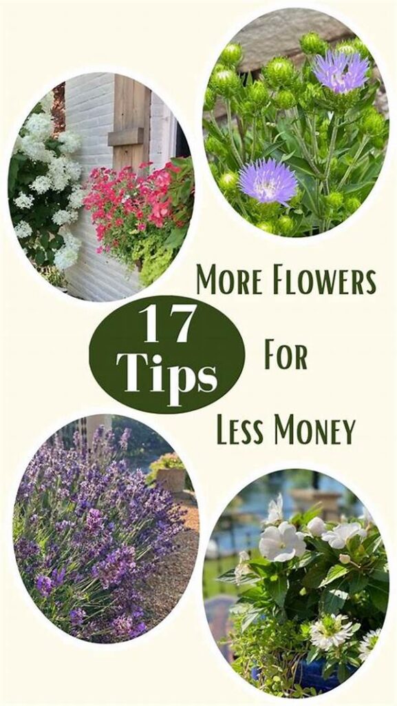 Thrifty Flower Purchase Tips