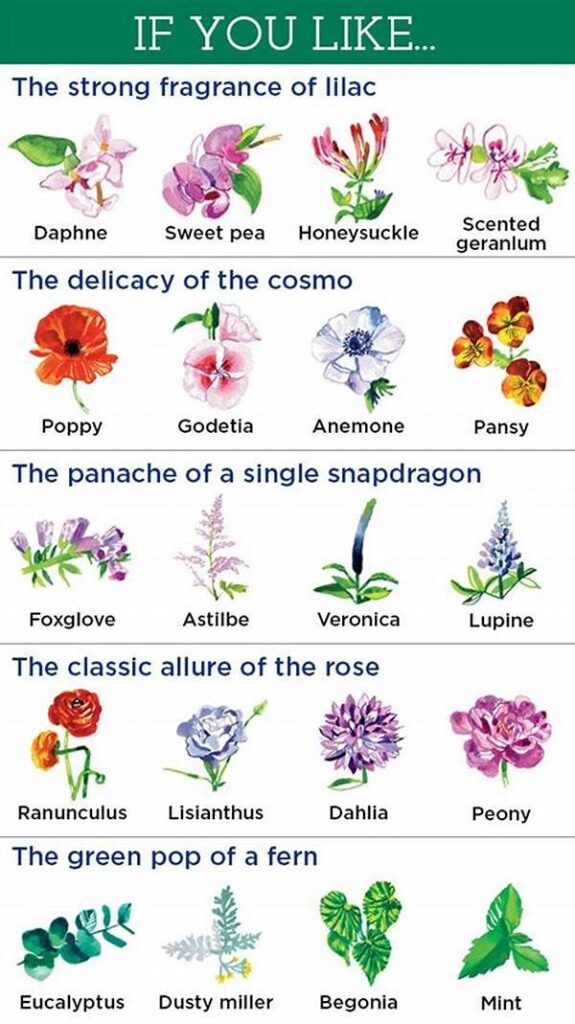 Top Choices For Aromatic Flowers