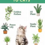 Toxic-free Plant Options For Cats