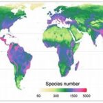 Vegetation Mapping And Species Richness