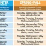 Watering Schedule For Seasonal Blooms