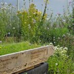 “wildflower Conservation Through Habitat Mapping”