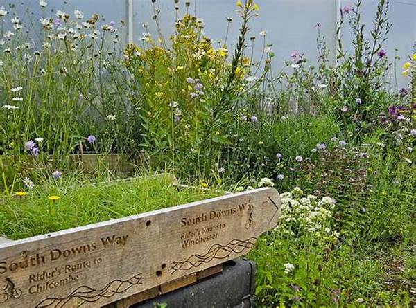 “wildflower Conservation Through Habitat Mapping”