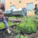 Yearlong Garden Health Practices