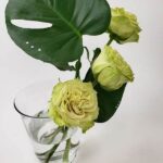 Zero Waste Floral Arrangement Solutions