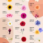 Anniversary Flower Guide By Year