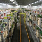 Automated Flower Delivery Service