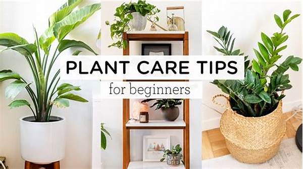 Beginner Plant Care Tips
