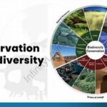 Biodiversity And Endemic Plant Strategies