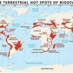Biodiversity Hotspot Plant Rarity