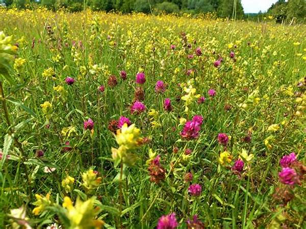 Biodiversity In Wildflower Populations