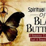 “black Petal Spiritual Meaning”