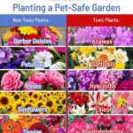 Blossoms Safe Around Pets