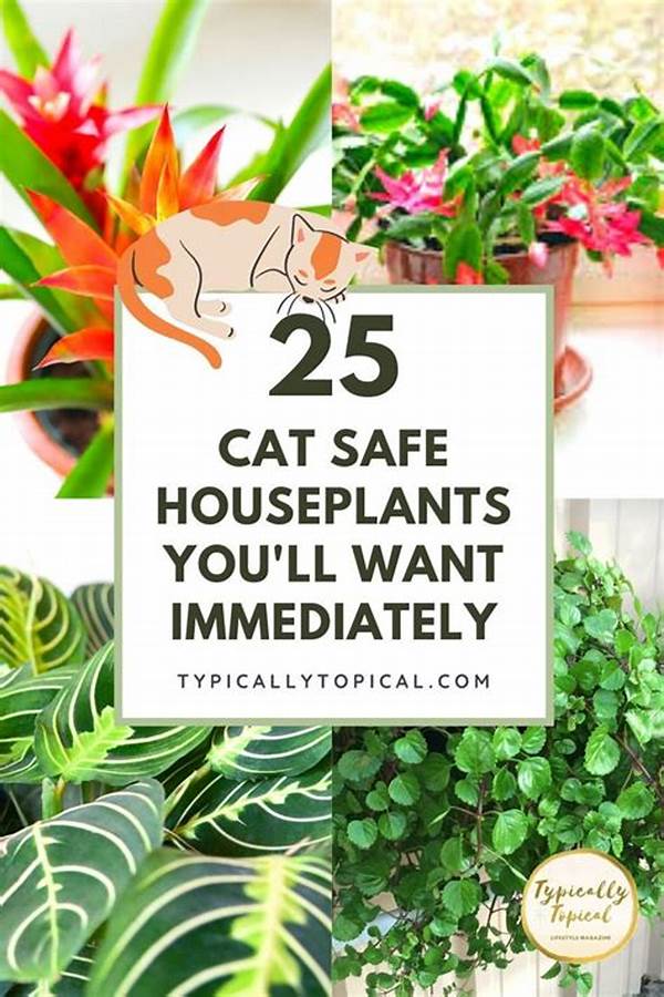 Cat-friendly Houseplants For Decoration