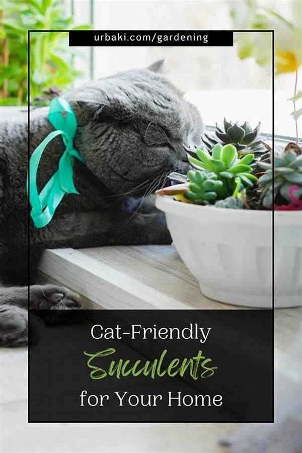 Cat-friendly Indoor Succulents