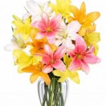 Cheap Flowers Delivered To My Location