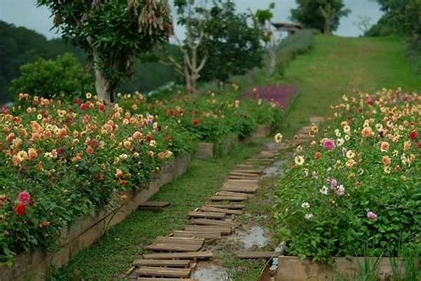 Colorful Summer Garden Blossoms