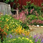 Creating Pollinator-friendly Garden