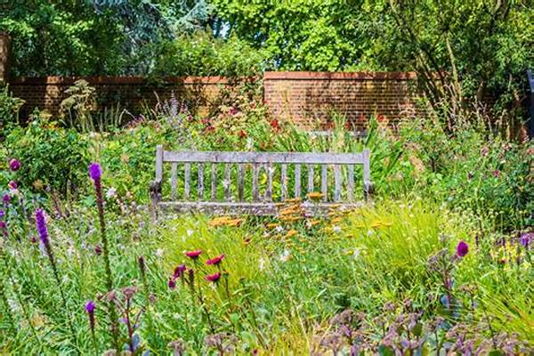 Creative Wildflower Garden Solutions
