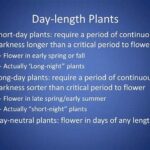 Day Length And Plant Reproduction