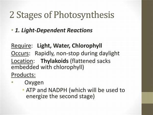 Daylight-dependent Growth Stages