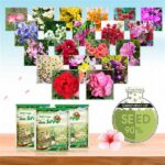 Distinctive Flower Packaging Solutions