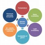 Ecosystem Dynamics And Native Species