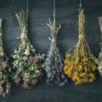 Effective Petal Drying Techniques