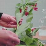 Effective Ways To Water Bouquets