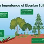 Endemic Vegetation Protection Practices