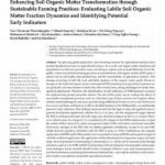 Enhancing Blooms Through Organic Soil