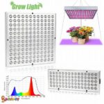 Enhancing Garden Plant Light Absorption