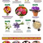 Environmentally Friendly Cat-safe Flowers