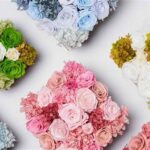 Everlasting Preserved Roses Collections