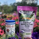 Fertilizer Schedule For Blooming Flowers