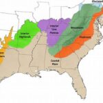 Flora Distribution In Us States