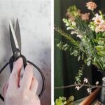 Flower Arranging For Prolonged Beauty