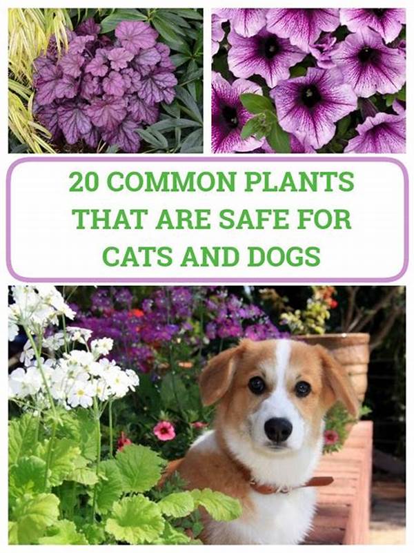 Flowers That Won’t Harm Pets