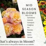Four-season Blooming Plant List