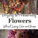 Green Practices For Drying Flowers