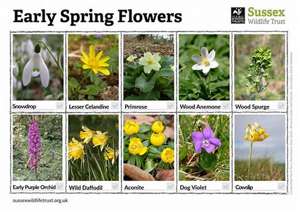 Guide To Spotting Wildflowers In Nature