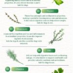 Herb Varieties Safe For Pets